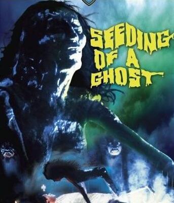 种鬼电影在线观看,惊悚悬疑，探寻生死轮回之谜  第3张